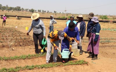 Social Employment Fund
