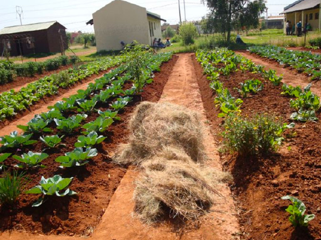 Sustainable-Livelihood-Initiatives