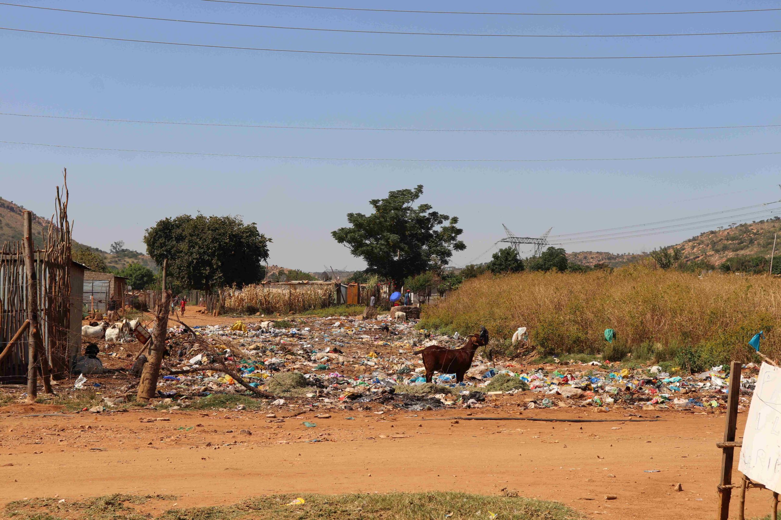 [Opinion] Where is the State of the Ward Address?
